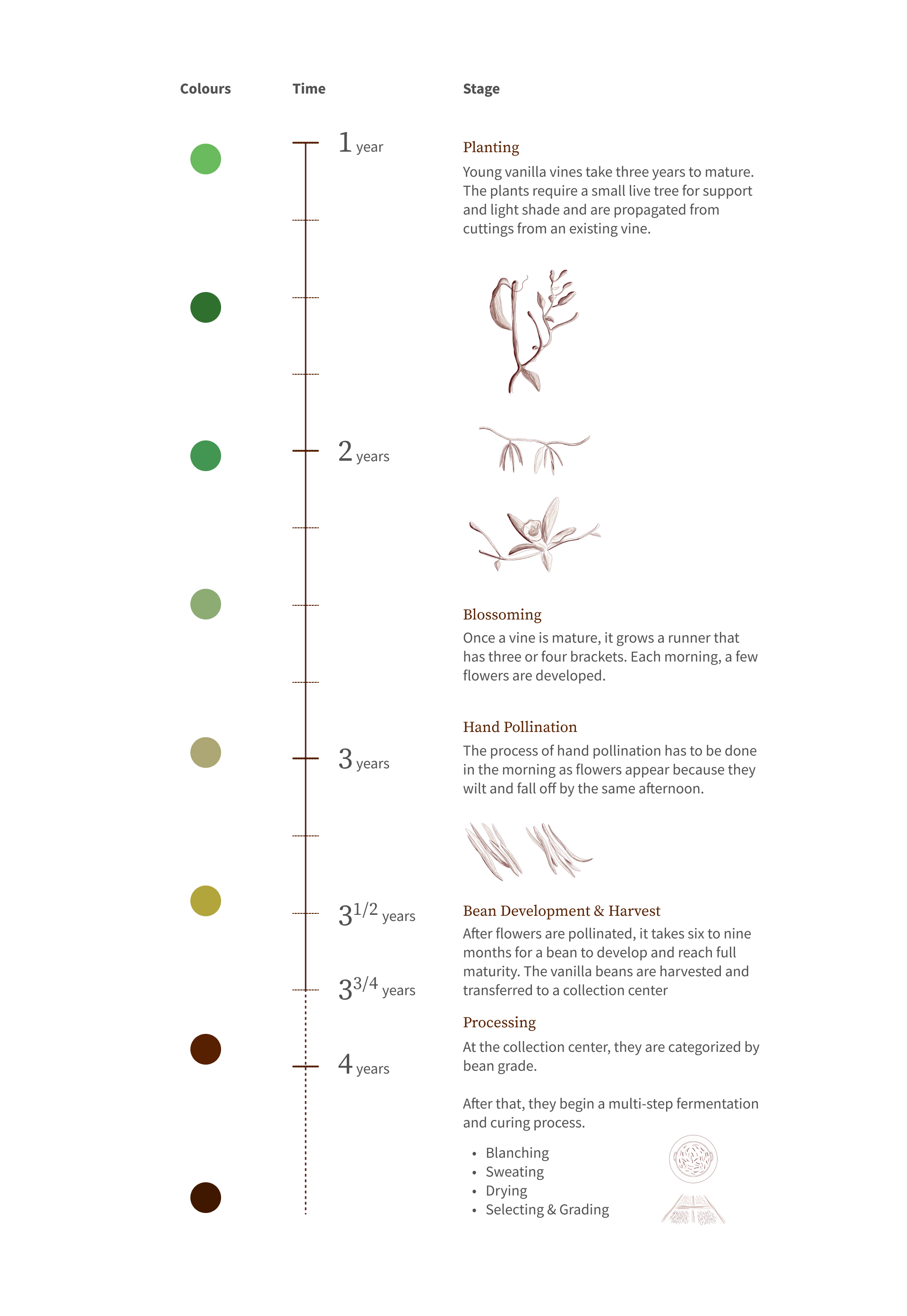 Timeline Trial PNG